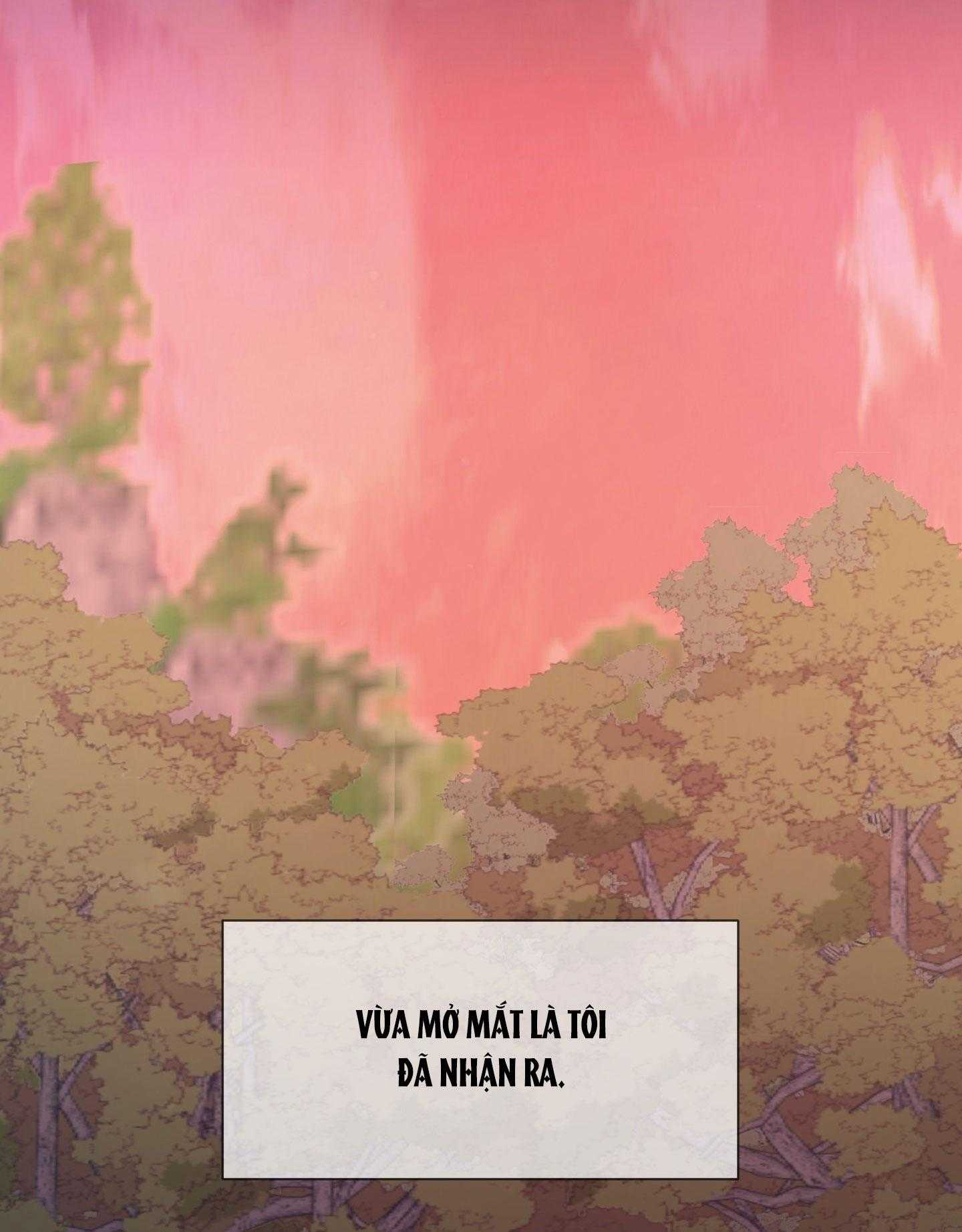 Đêm Kinh Hoàng Chap 42 - Next Chap 43