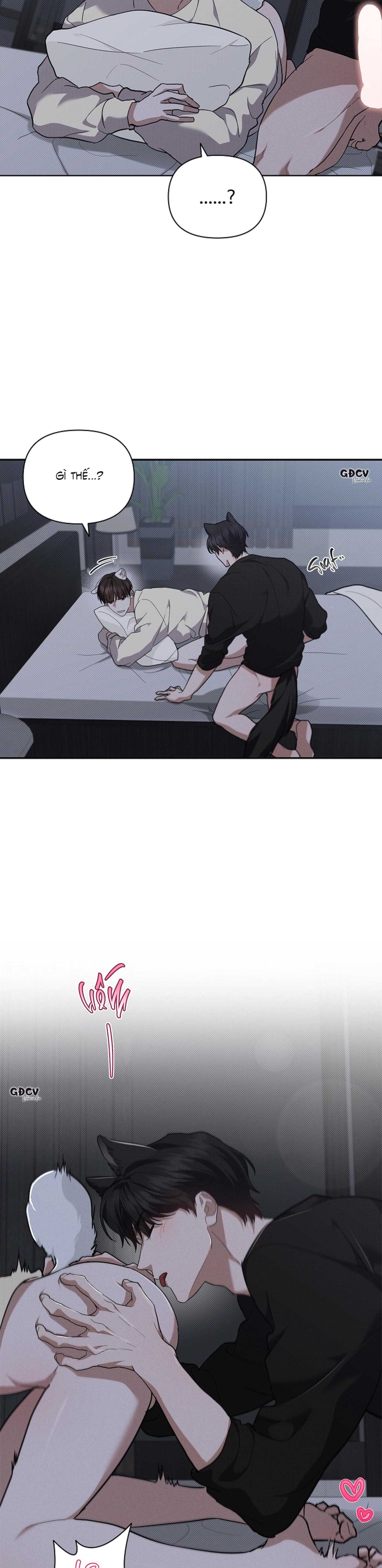 Đừng Chạm Vào Cún Con Của Tôi Chap 25 - Next Chap 26