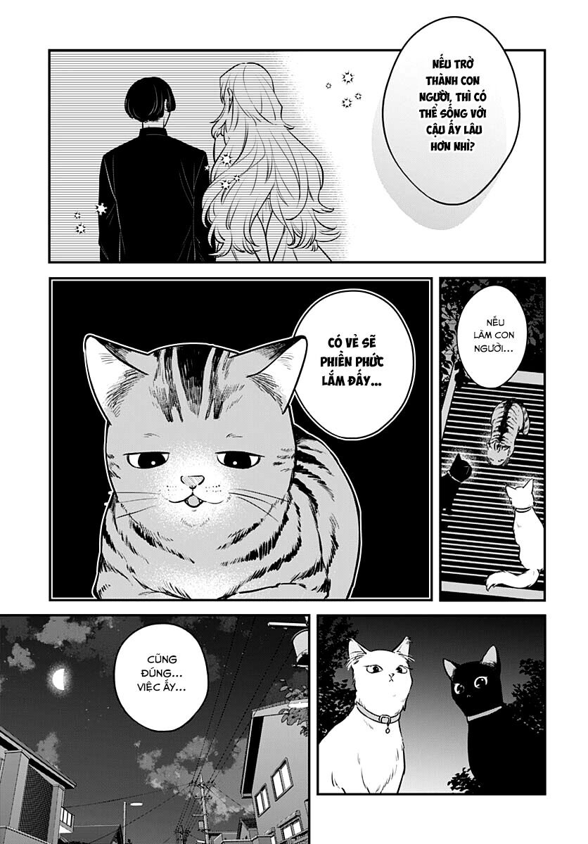 Mi-Chan Wa Kawaretai Chap 17 - Next Chap 18