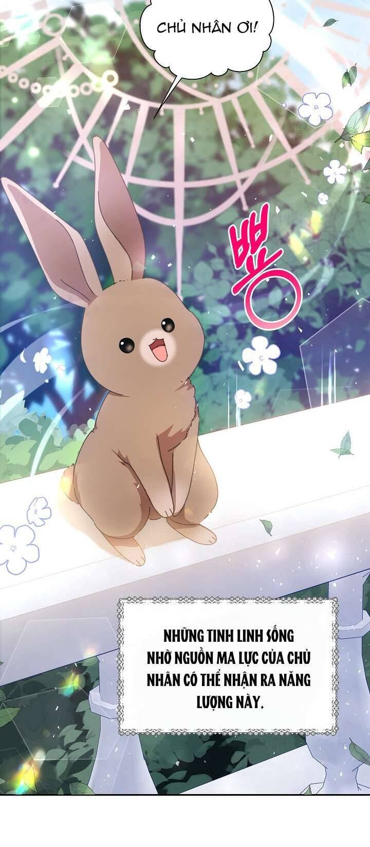 Tôi Đã Vô Tình Quyến Rũ Em Trai Của Nam Chính Chap 15 - Next Chap 16