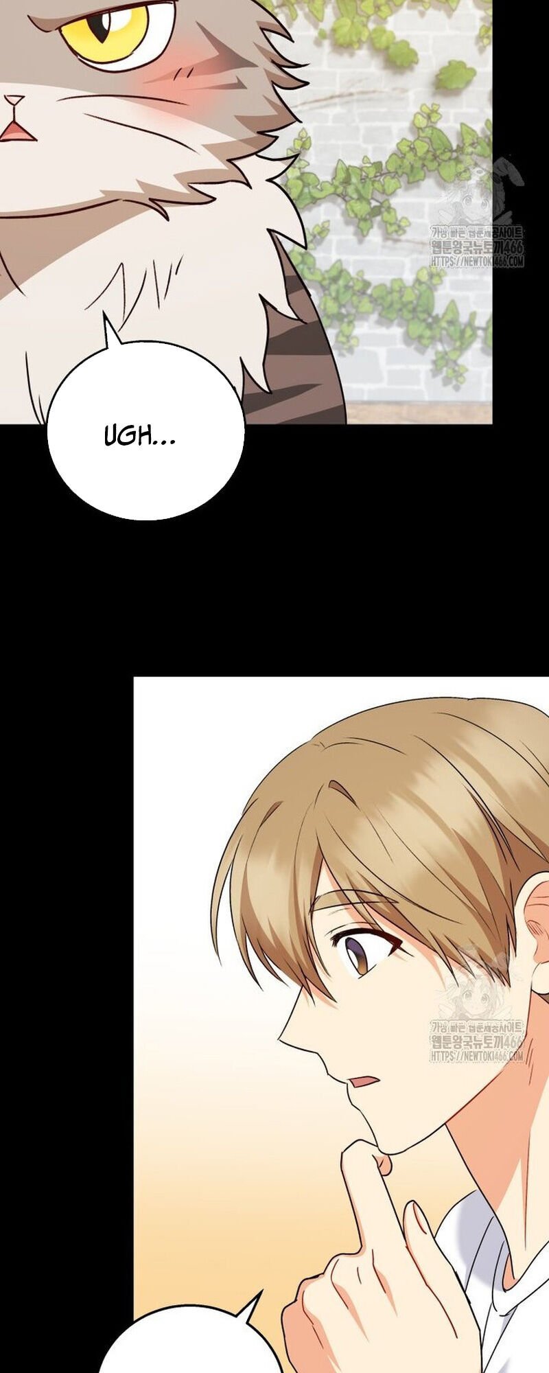 Xin Chào! Bác Sĩ Thú Y Chap 77 - Next Chap 78