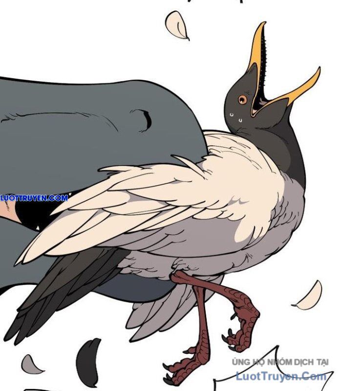 Động Vật Tiền Sử Chap 3 - Next Chap 4