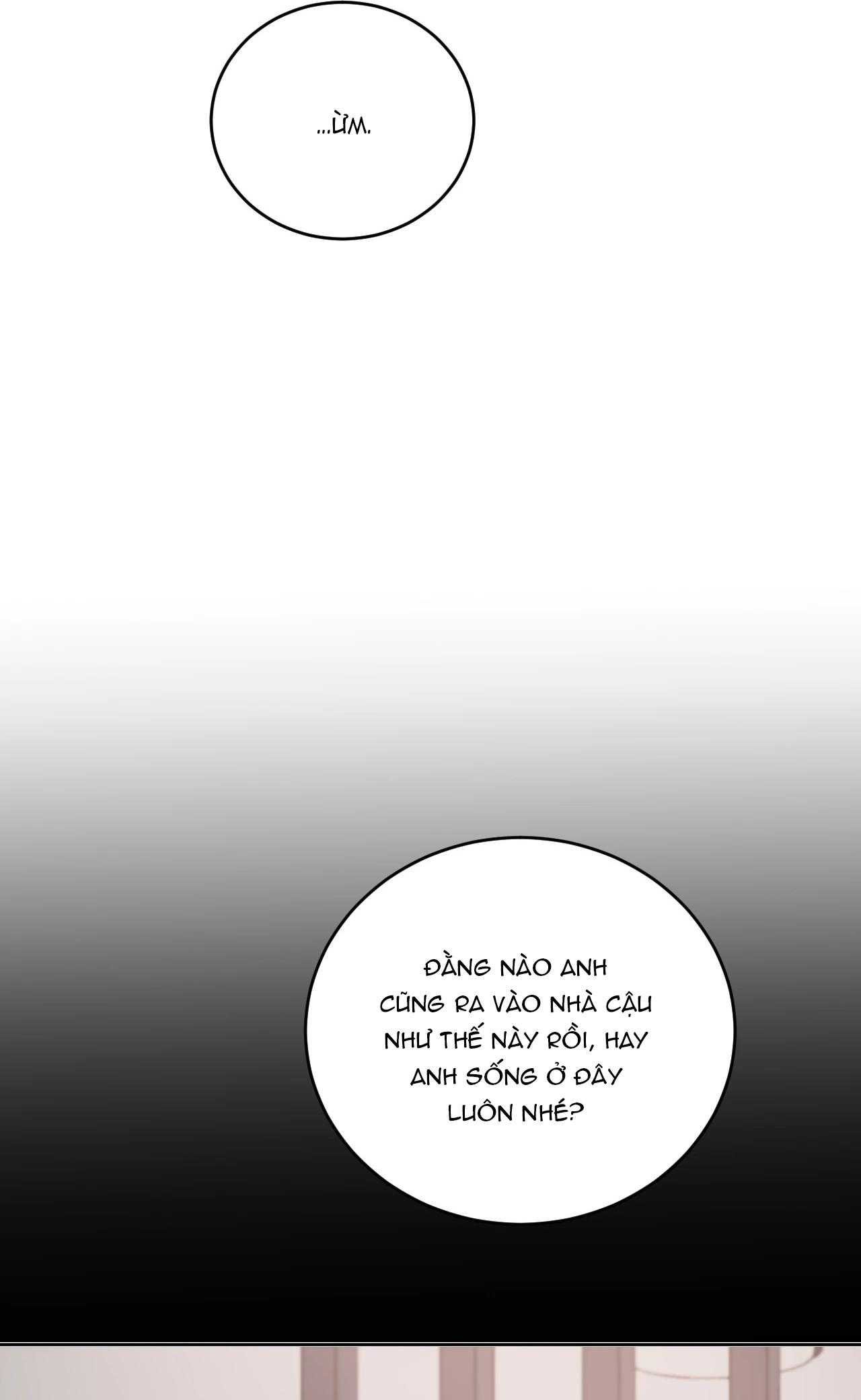 Giữa Tình Cờ Và Định Mệnh Chap 84 - Next Chap 85