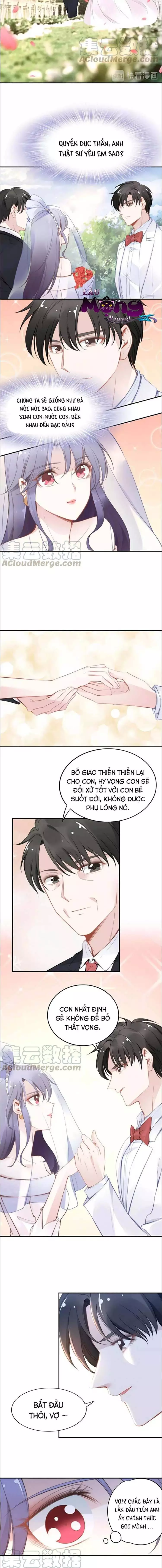 Quyền Thiếu, Vợ Anh Muốn Bỏ Trốn Chap 40 - Next Chap 41