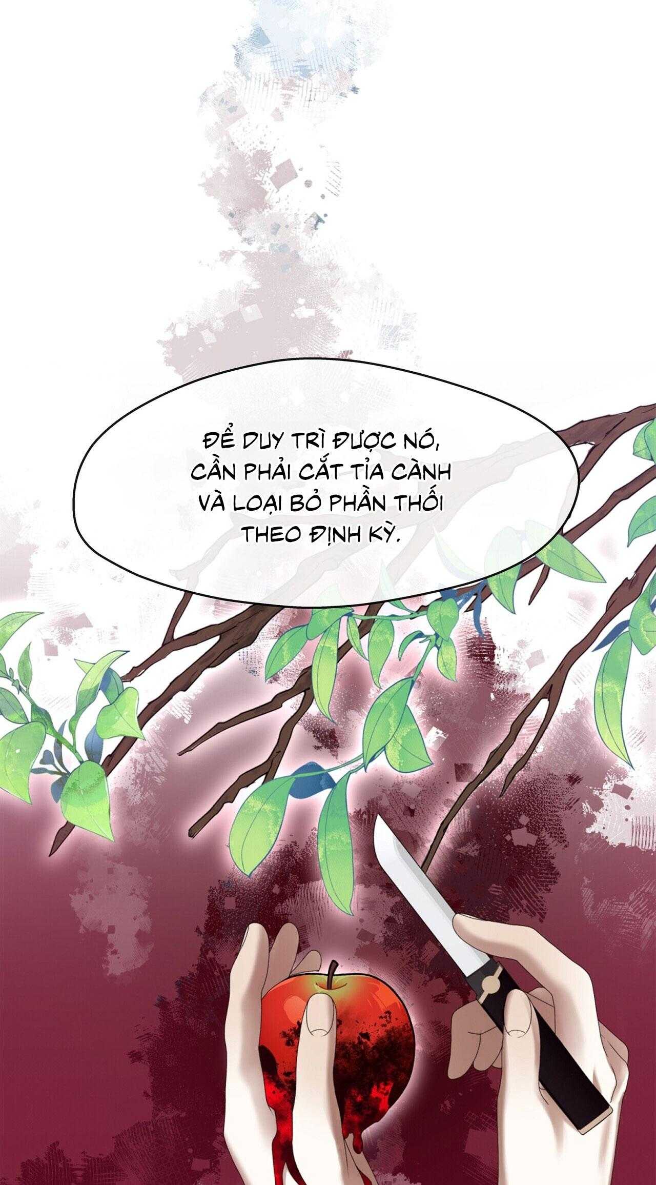 Tôi Đã Nuôi Dạy Thủ Lĩnh Giáo Phái Ác Ma Chap 43 - Next Chap 44