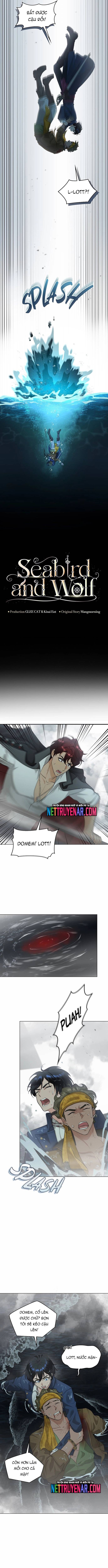 Hải Âu & Sói Hoang Chap 49 - Next Chap 50