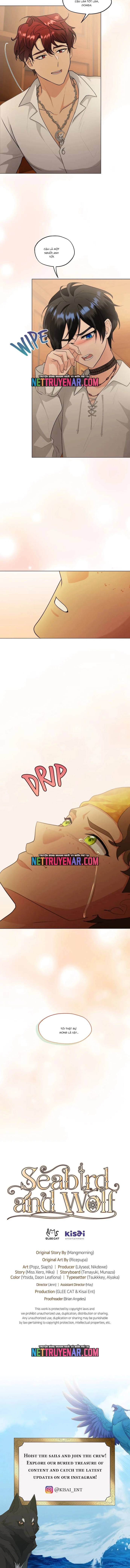 Hải Âu & Sói Hoang Chap 53 - Next Chap 54