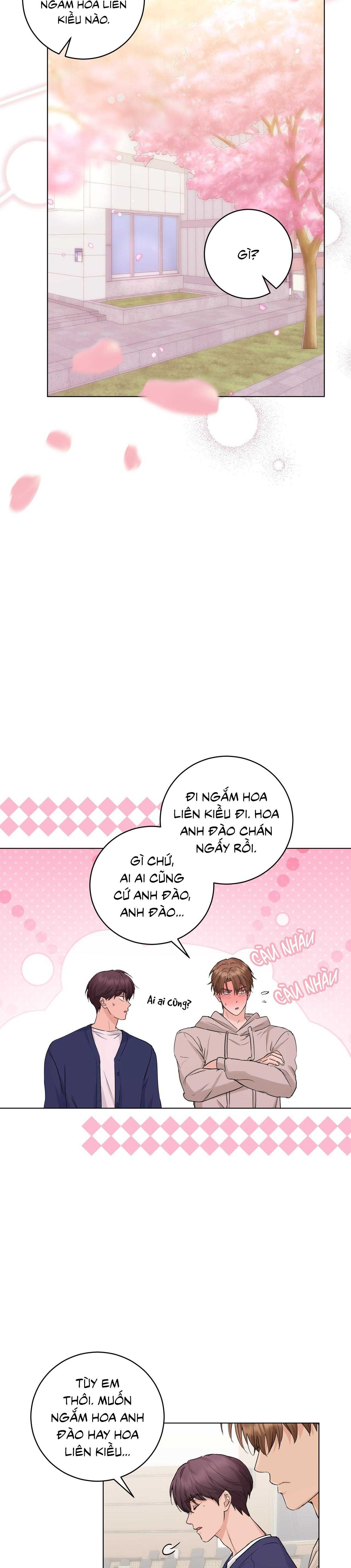 Tình Yêu Kẹo Bạc Hà Chap 12 - Next Chap 13