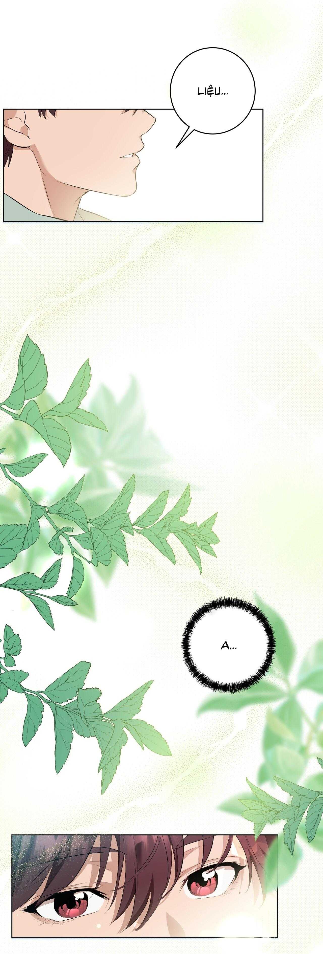 Tình Yêu Kẹo Bạc Hà Chap 1 - Next Chap 2