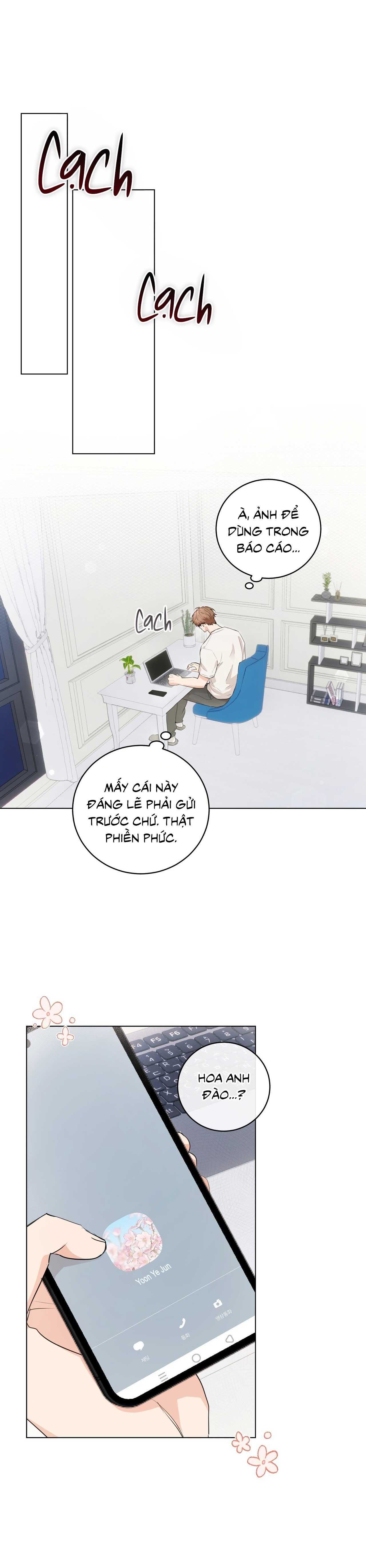 Tình Yêu Kẹo Bạc Hà Chap 16 - Next Chap 17