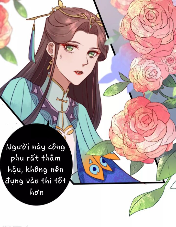 Hành Trình Huy Hoàng Chap 11 - Next Chap 12