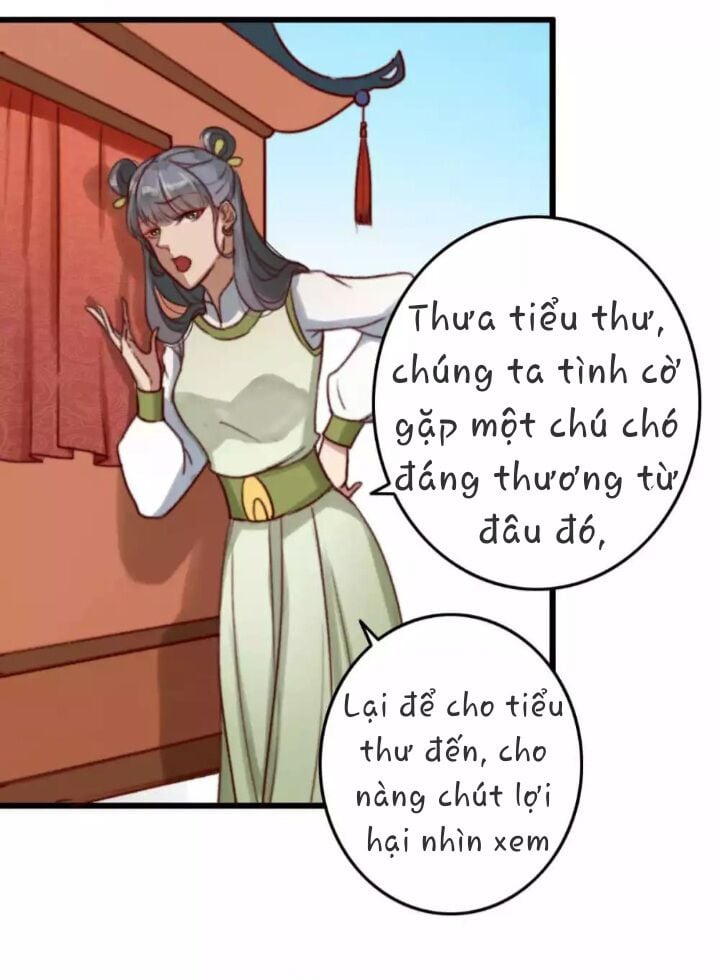 Hành Trình Huy Hoàng Chap 7 - Next Chap 8