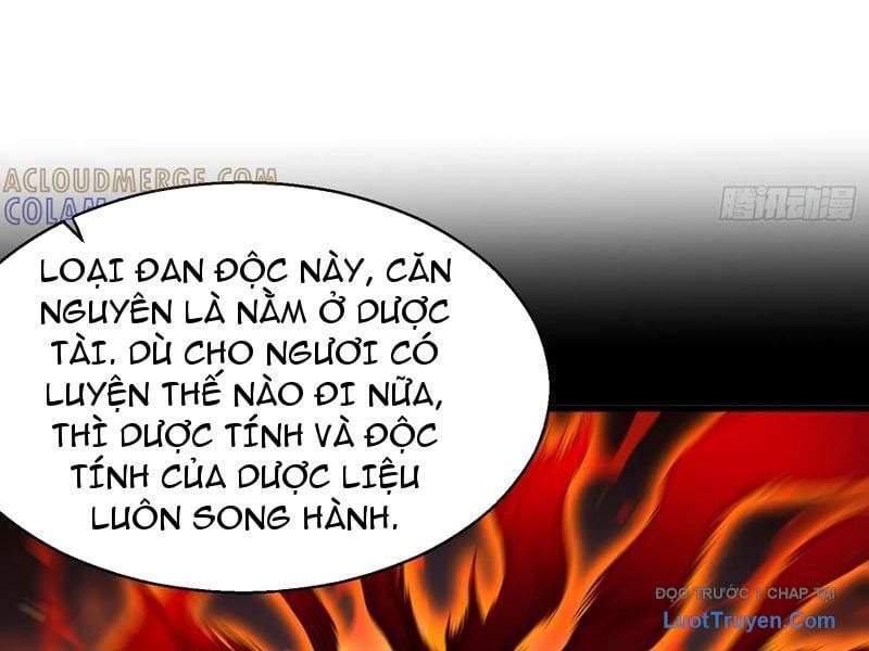 Thực Sự Có Người Cho Rằng Tu Tiên Khó Sao? Chap 18 - Next Chap 19