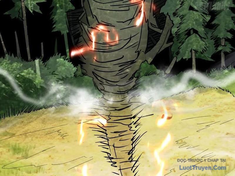 Sau Khi Đầu Thai, Ta Được Kẻ Thù Khắc Thành Vô Địch Chap 14 - Next Chap 15