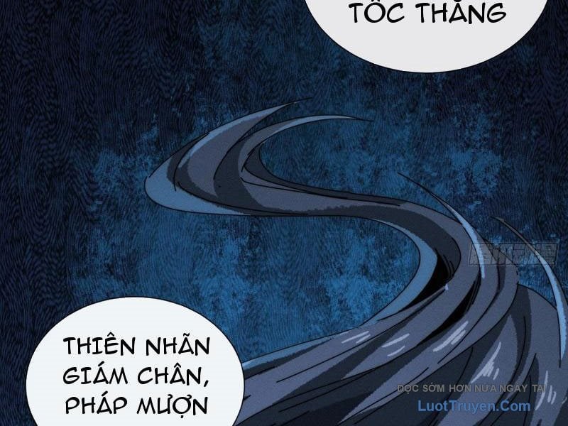 Ta Dựa Vào Tu Tiên Xưng Bá Mạt Thế Chap 28 - Next Chap 29