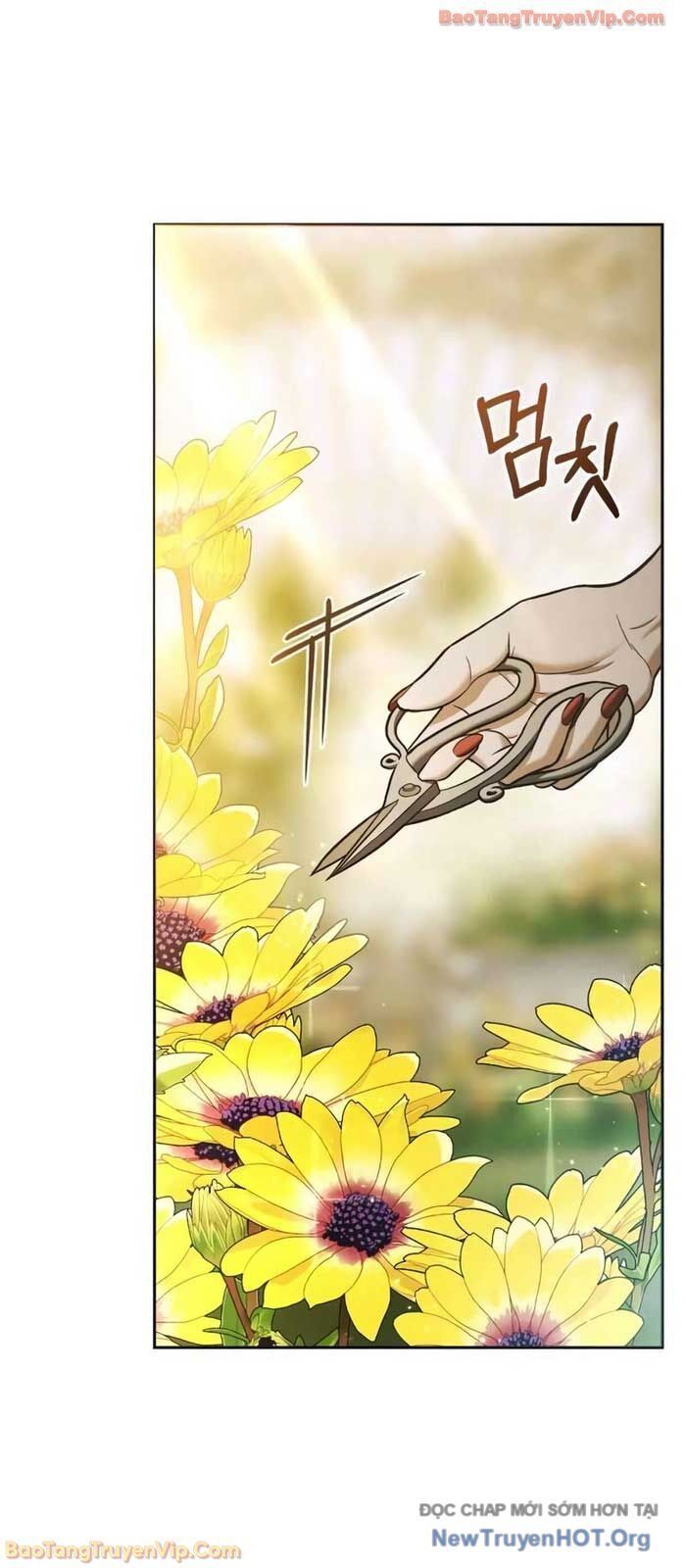 Cuộc Sống Tái Sinh Của Pháp Sư Hẻm Tối Chap 8 - Next Chap 9