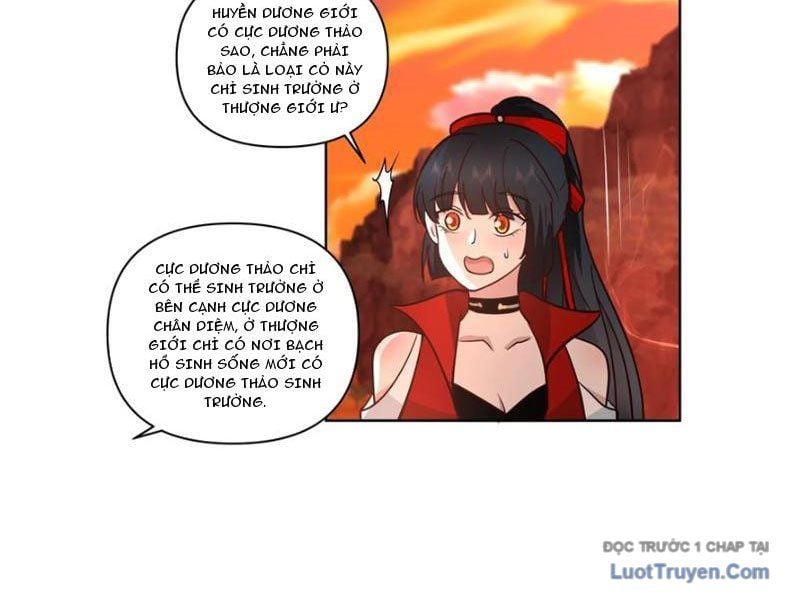 Nữ Phụ Tu Tiên Từ Chối Kịch Bản Pháo Hôi Chap 14 - Next Chap 15