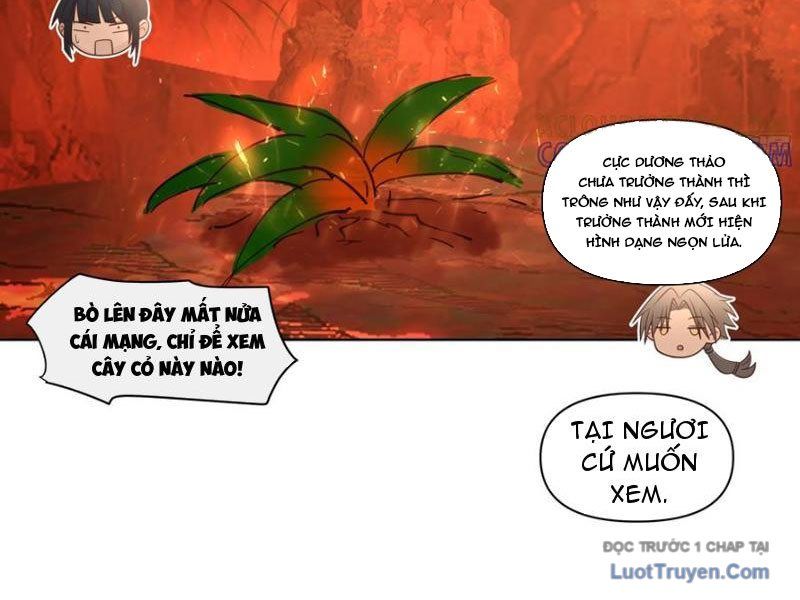 Nữ Phụ Tu Tiên Từ Chối Kịch Bản Pháo Hôi Chap 14 - Next Chap 15