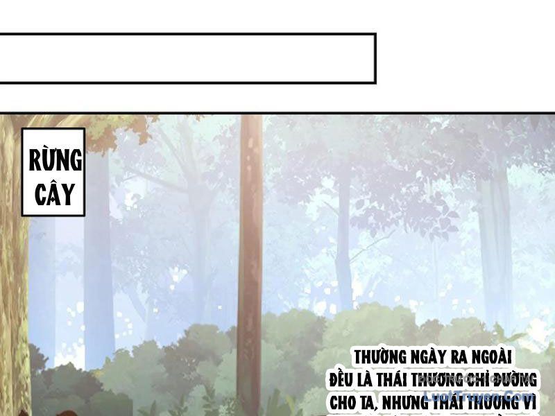 Nữ Phụ Tu Tiên Từ Chối Kịch Bản Pháo Hôi Chap 13 - Next Chap 14