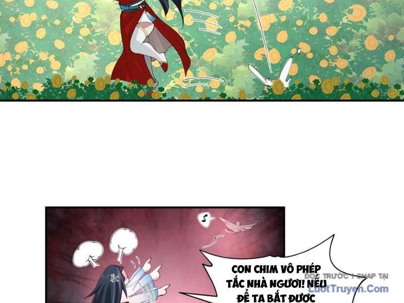 Nữ Phụ Tu Tiên Từ Chối Kịch Bản Pháo Hôi Chap 13 - Next Chap 14