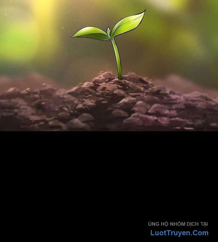Kẻ Ngoại Lai Ở Vùng Đất Bị Ruồng Bỏ Chap 16 - Next Chap 17