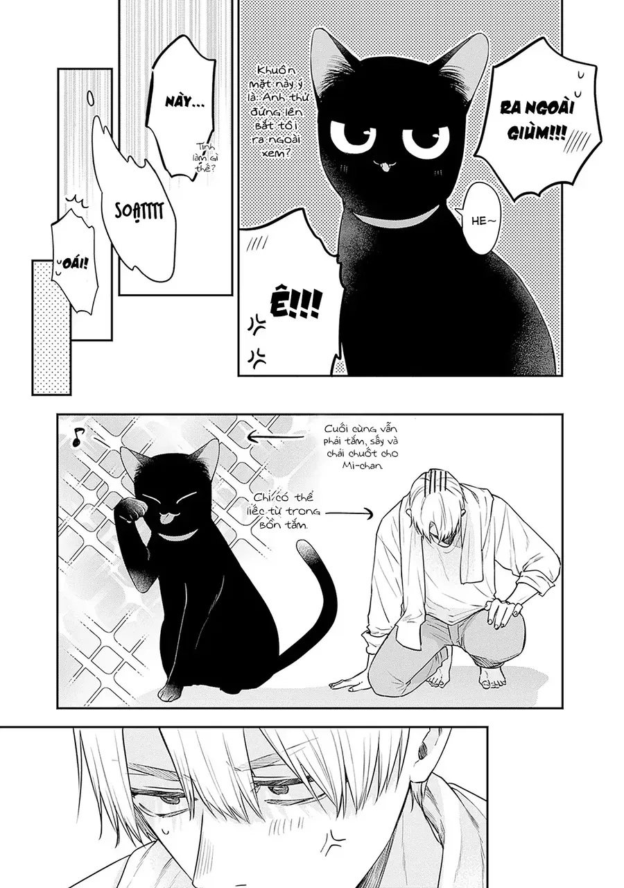 Mi-Chan Wa Kawaretai Chap 25 - Next Chap 26