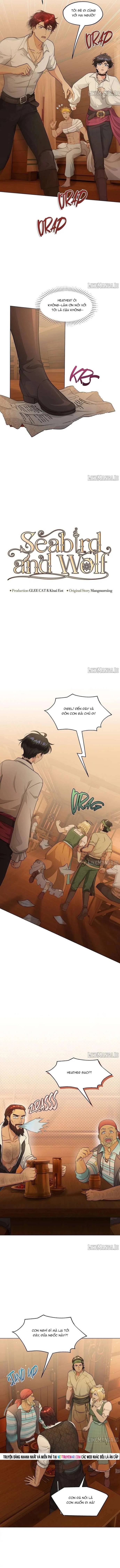 Hải Âu & Sói Hoang Chap 54 - Next Chap 55