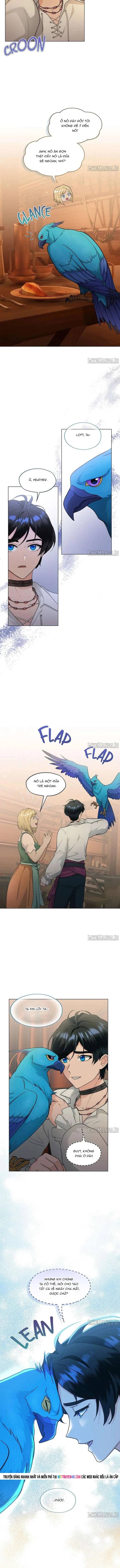 Hải Âu & Sói Hoang Chap 54 - Next Chap 55
