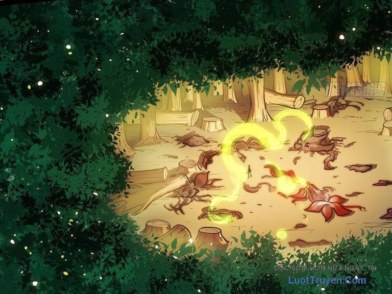 Toàn Năng Giác Tỉnh Sư Chap 28 - Next Chap 29