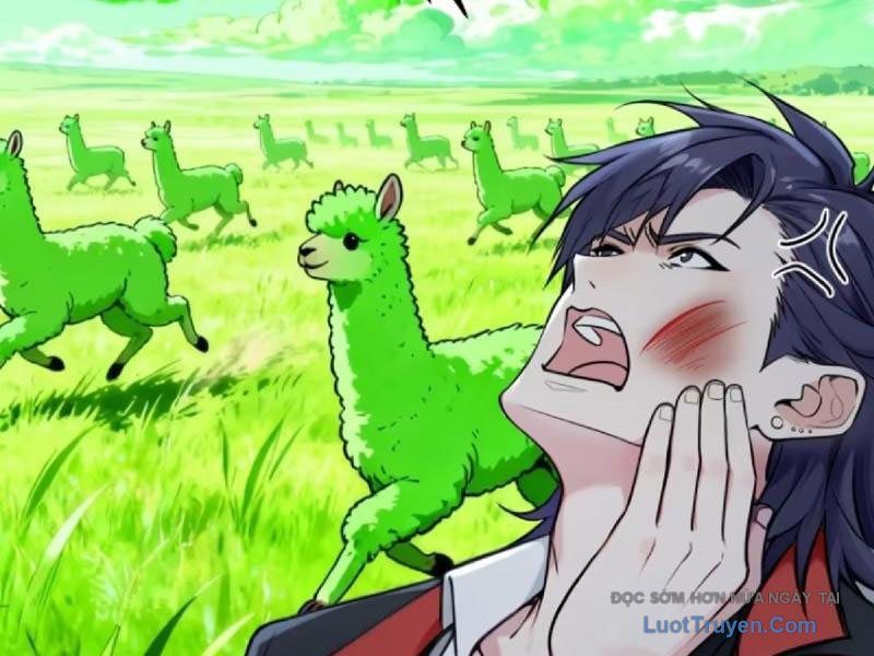 Sau Khi Đầu Thai, Ta Được Kẻ Thù Khắc Thành Vô Địch Chap 33 - Next Chap 34