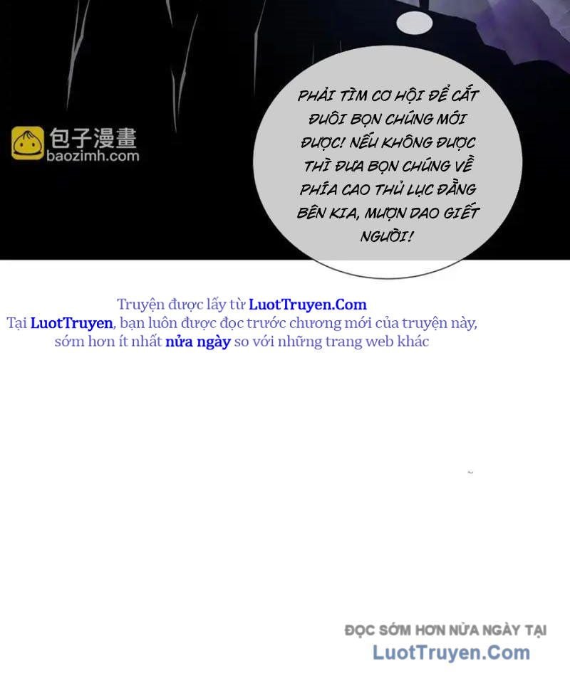 Tai Ách Giáng Lâm: Ta Tiến Hóa Thành Tinh Hồng Đế Vương Chap 24 - Next Chap 25