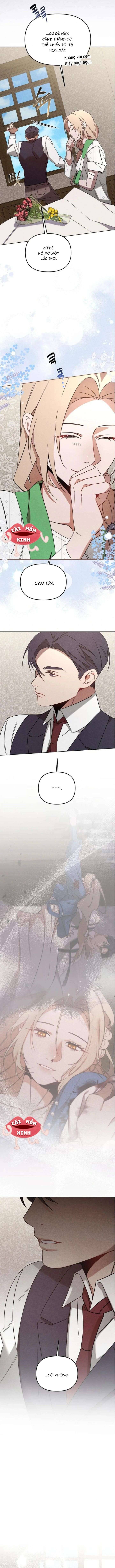 Nơi Đóa Hồng Vàng Úa Tàn Chap 17 - Next Chap 18