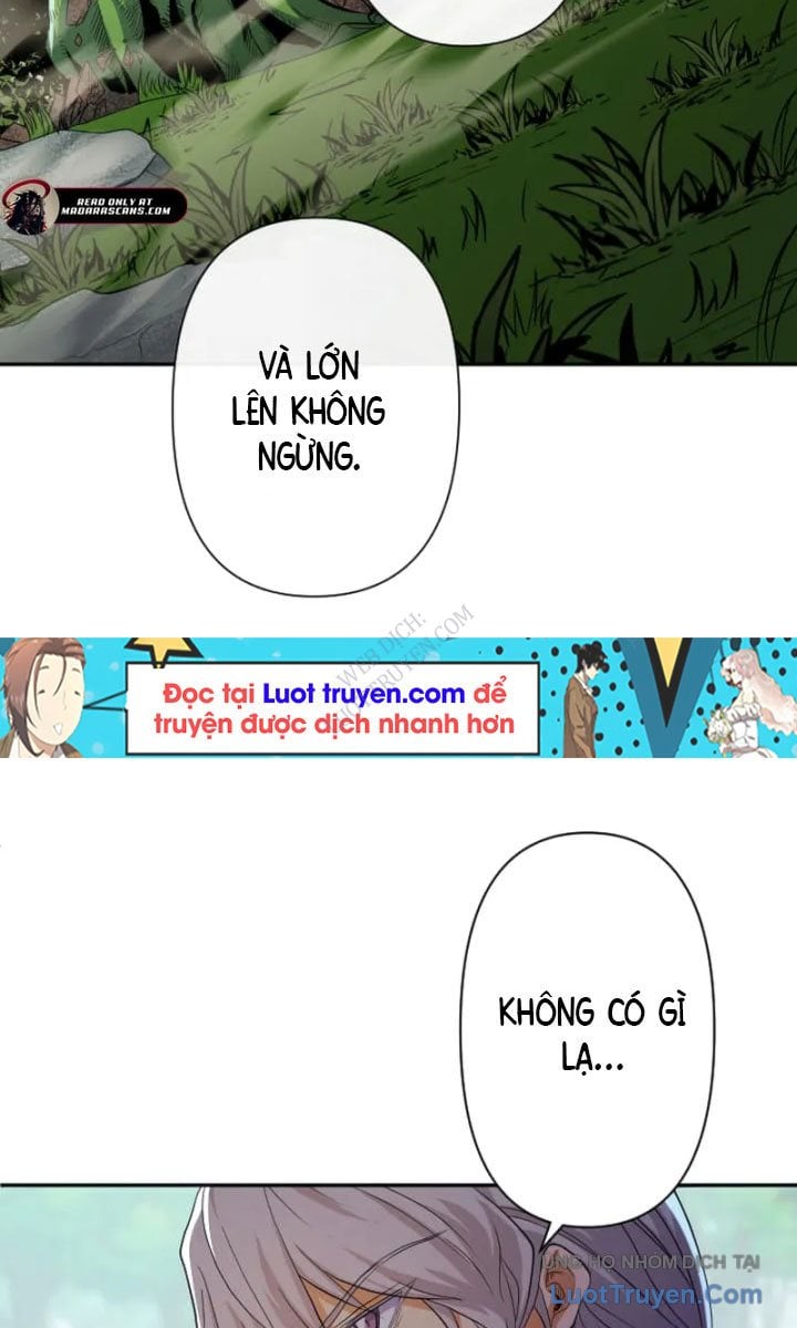 Đại Hiền Giả Sở Hữu Trăm Ma Thạch Chap 8 - Next Chap 9