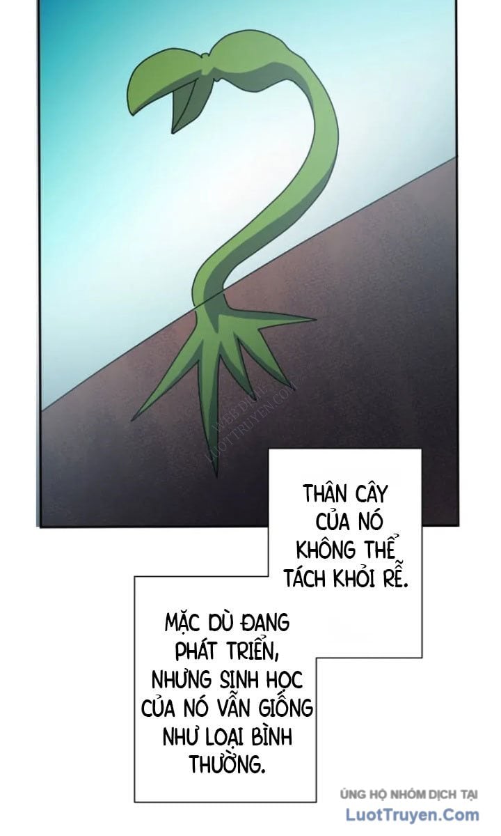 Đại Hiền Giả Sở Hữu Trăm Ma Thạch Chap 8 - Next Chap 9