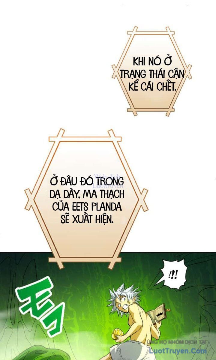 Đại Hiền Giả Sở Hữu Trăm Ma Thạch Chap 9 - Next Chap 10