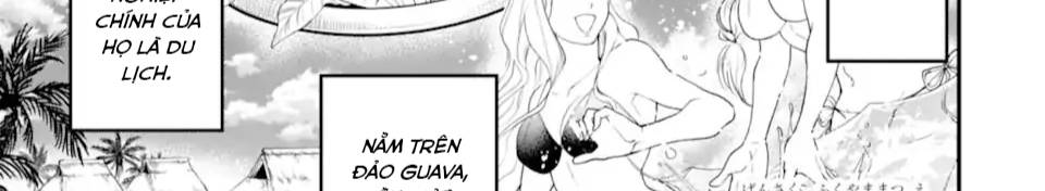 Pháp Sư Mạnh Nhất Dùng Sách Chiến Lược, Tự Mình Tiêu Diệt Ma Vương Chap 35 - Next Chap 36