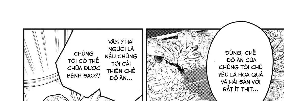 Pháp Sư Mạnh Nhất Dùng Sách Chiến Lược, Tự Mình Tiêu Diệt Ma Vương Chap 35 - Next Chap 36