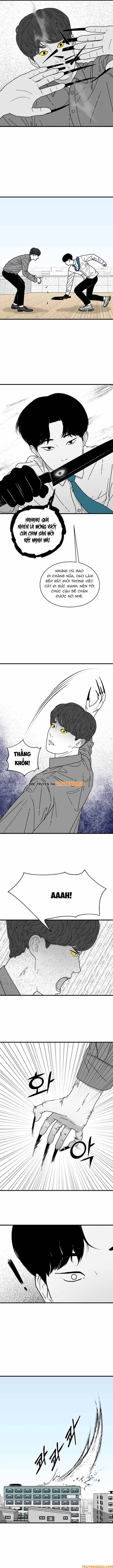 Đôi Mắt Chap 5 - Next Chap 6