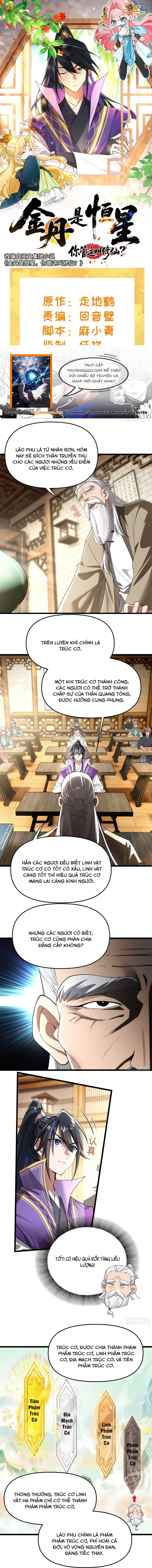 Kim Đan Là Hằng Tinh, Ngươi Gọi Đây Là Tu Tiên À? Chap 9 - Next Chap 10