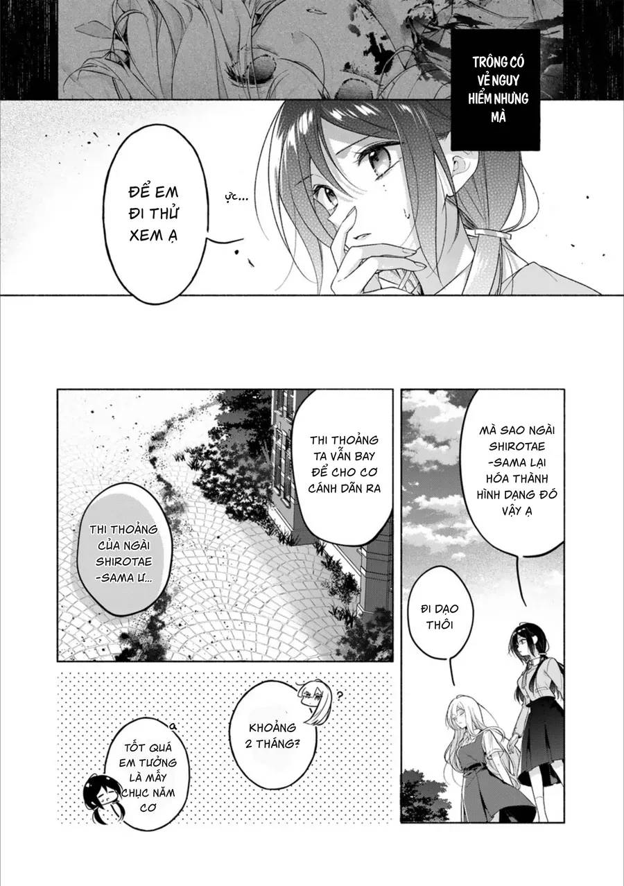 Tiểu Thư Shirotae, Đây Là Bí Mật Nhé Chap 2 - Next Chap 3