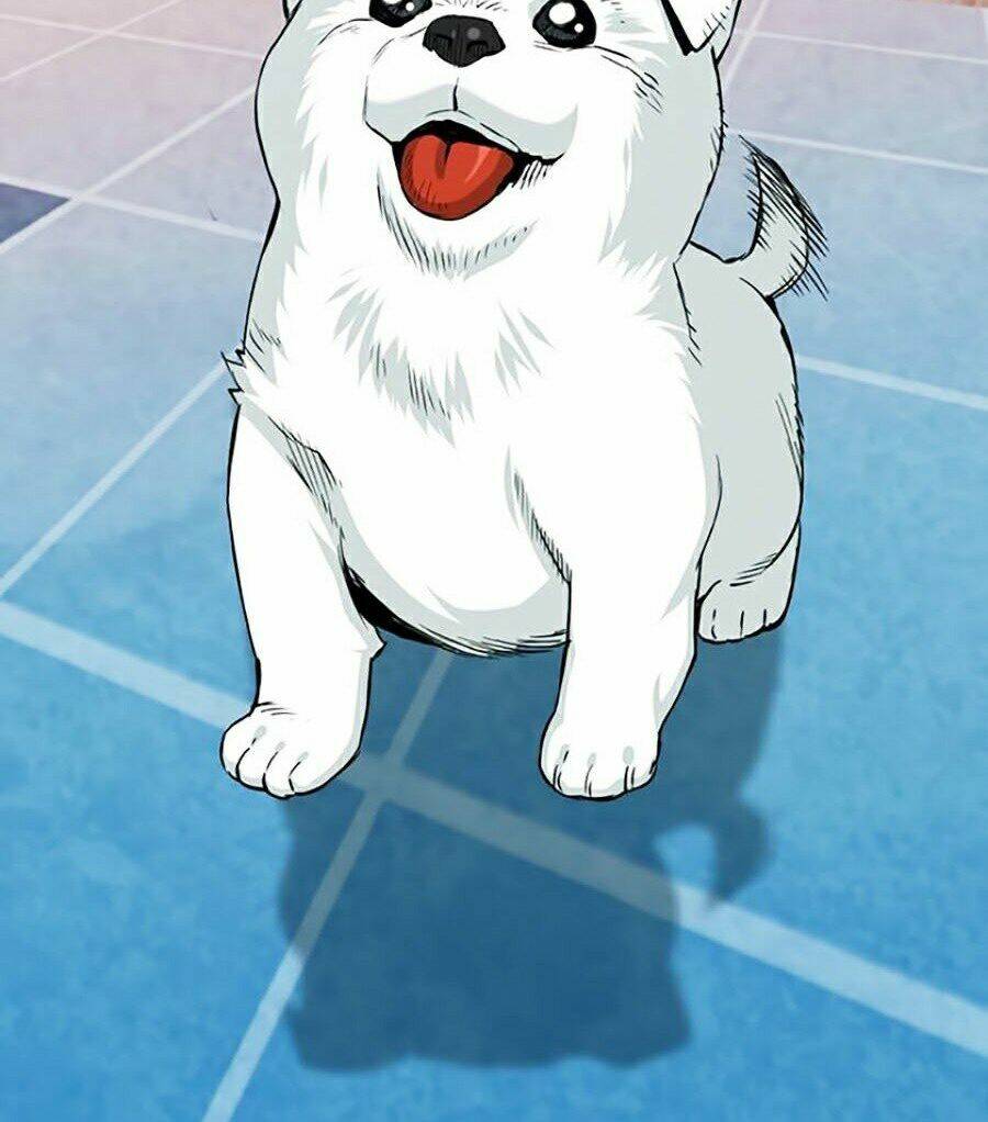 Druid Tại Ga Seoul - Người Hóa Thú Chap 20 - Next Chap 21