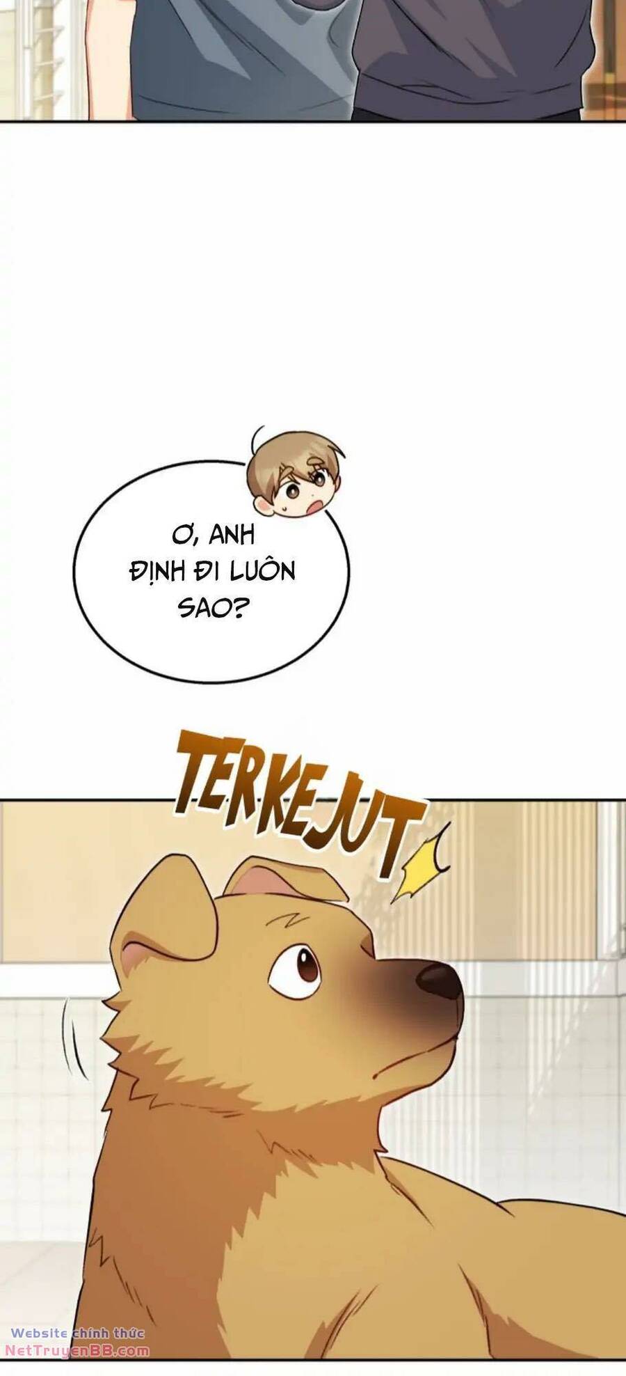 Xin Chào! Bác Sĩ Thú Y Chap 17 - Next Chap 18
