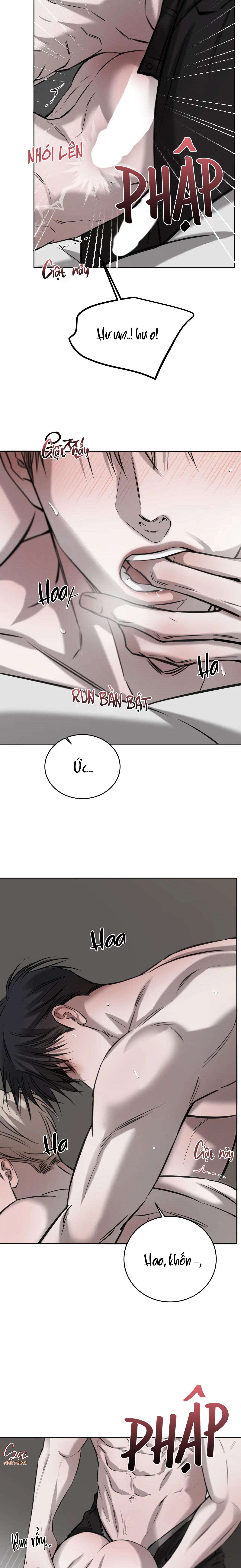 Giữa Tình Cờ Và Định Mệnh Chap 52 - Next Chap 53
