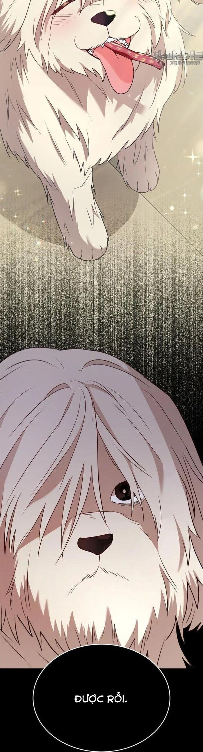 Xin Chào! Bác Sĩ Thú Y Chap 56 - Next Chap 57