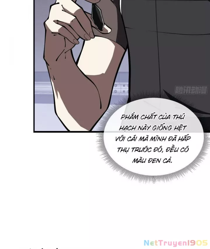 Tai Ách Giáng Lâm: Ta Tiến Hóa Thành Tinh Hồng Đế Vương Chap 10 - Next Chap 11
