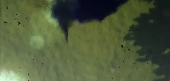 Hầm Ngục Mạnh Nhất Chap 26 - Next Chap 27