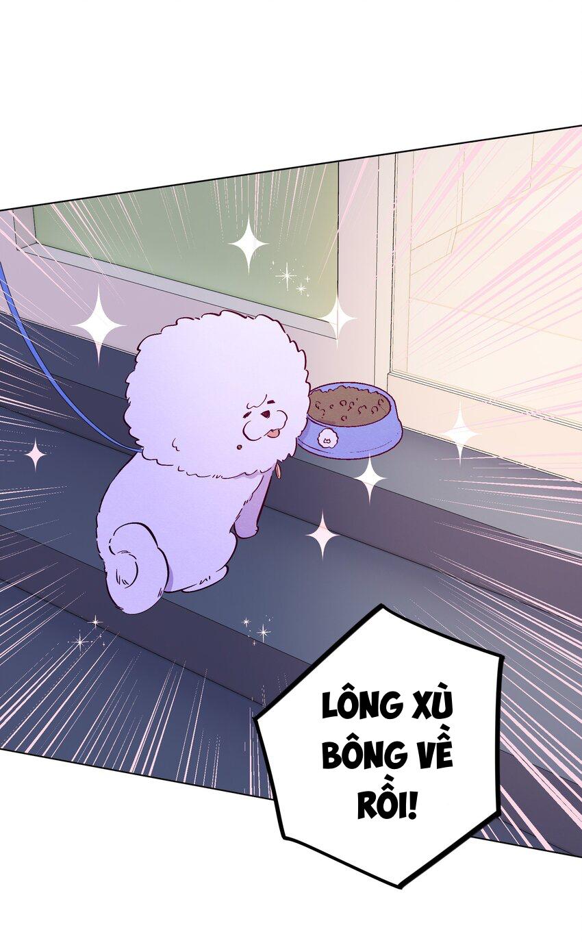 Giăng Bẫy Bác Sĩ Hồ Ly Chap 60 - Next Chap 61