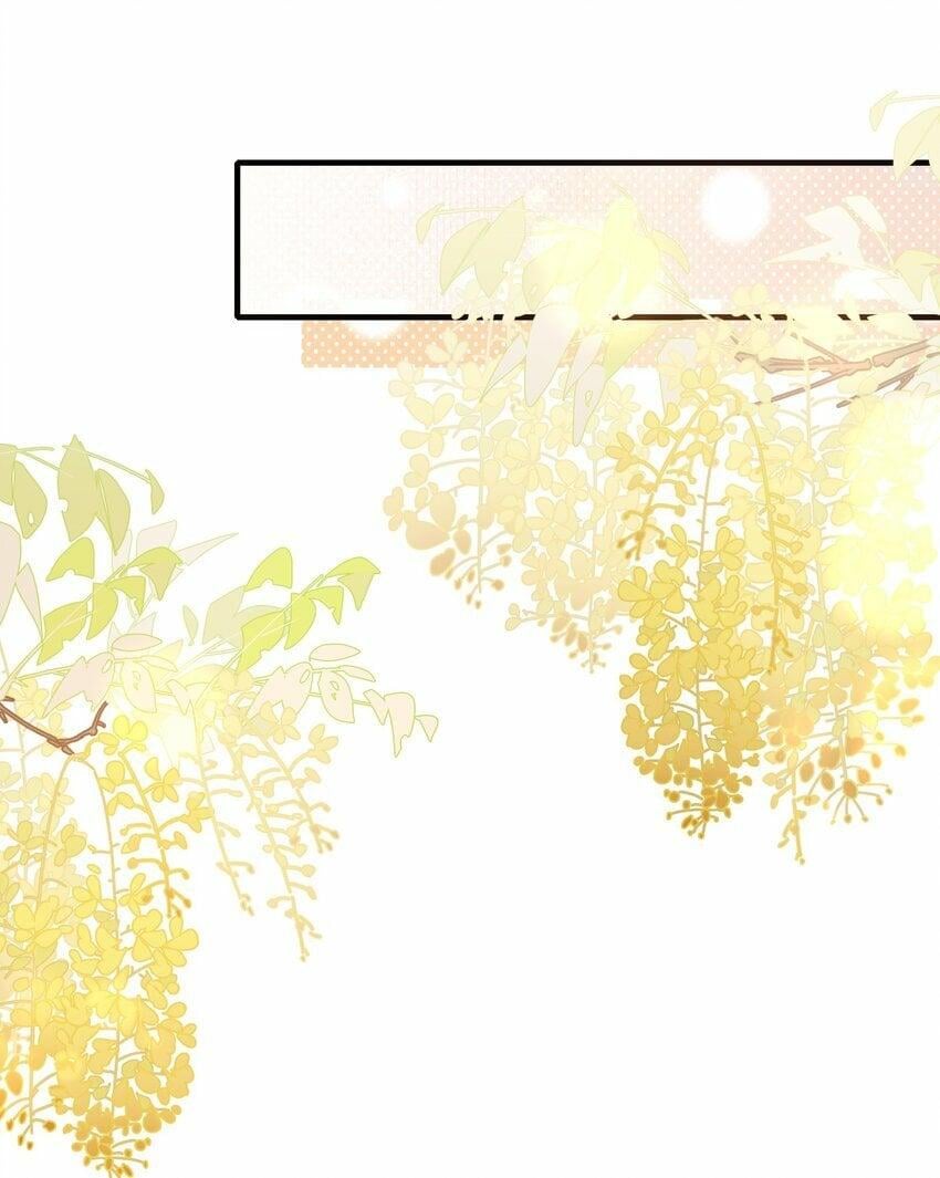 Loạn Thế Vi Vương Chap 47 - Next Chap 48