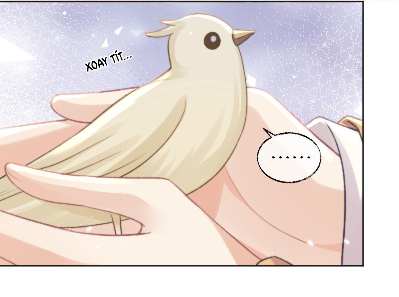 Sư Tôn Mỹ Nhân Bệnh Độc Chiếm Chap 37 - Next Chap 38