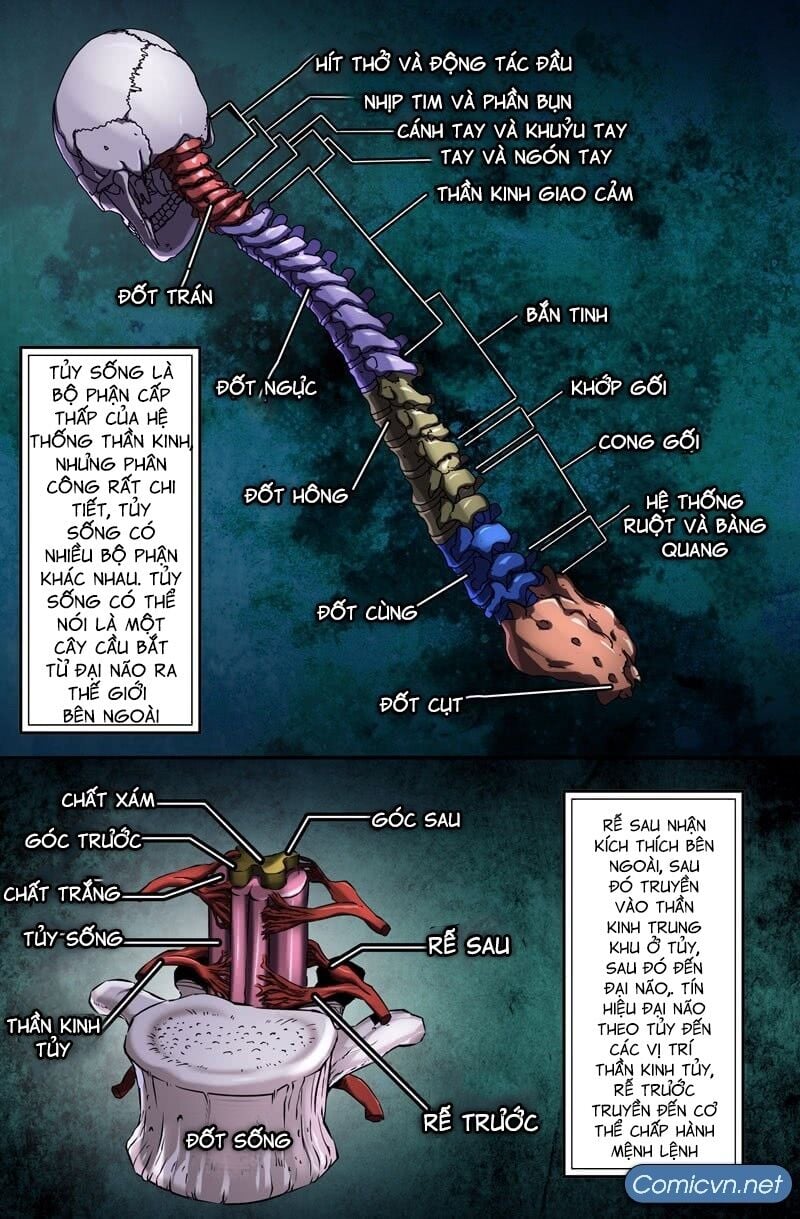 Mạnh Nhất Lịch Sử Chap 43 - Next Chap 44